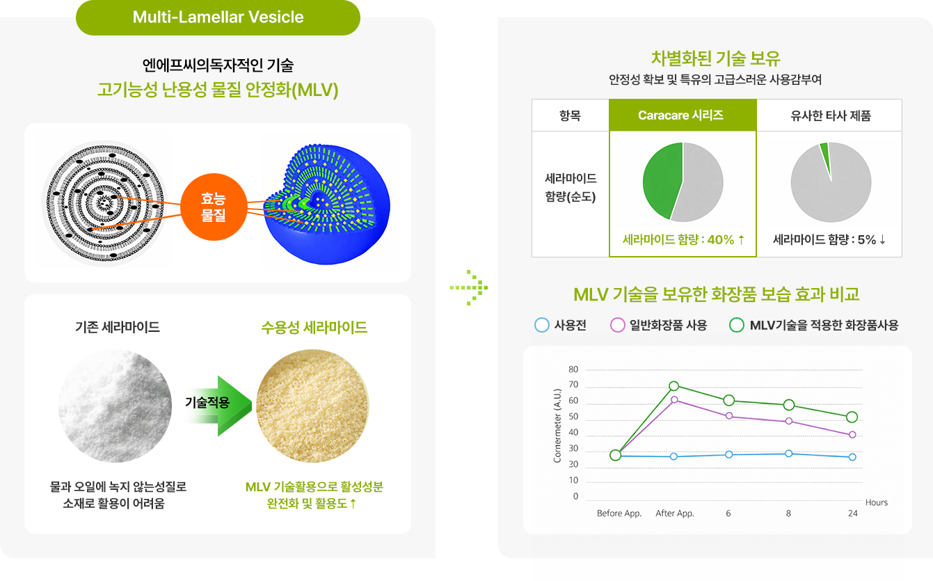 MLV 기술