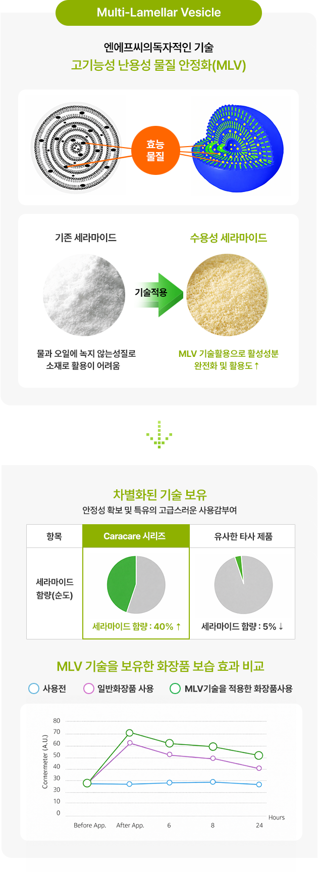 MLV 기술