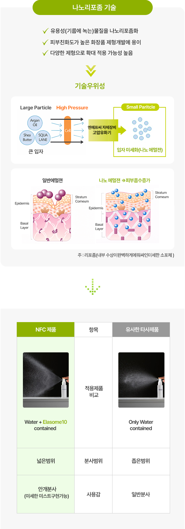 나노리포좀 기술